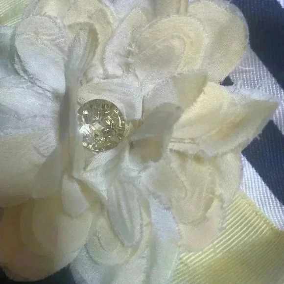 Blueberi Boulevard Toddler Size 2T Dress - Picture 3 of 9